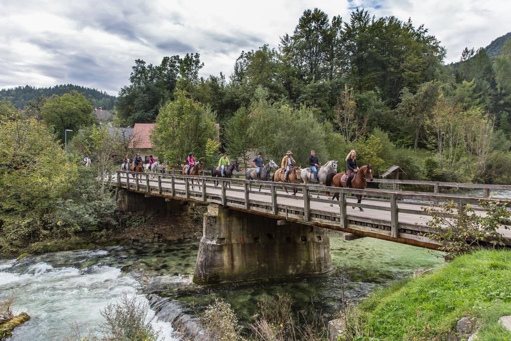 Brunarica Bled Zatrnik Pokljuka Extérieur photo