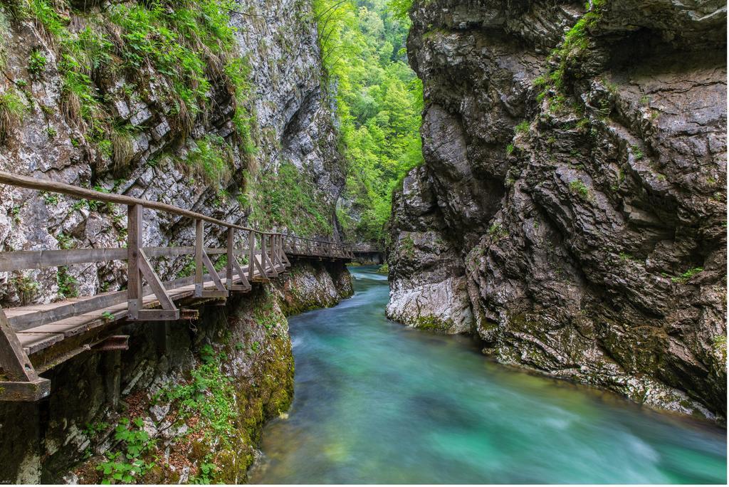 Brunarica Bled Zatrnik Pokljuka Extérieur photo