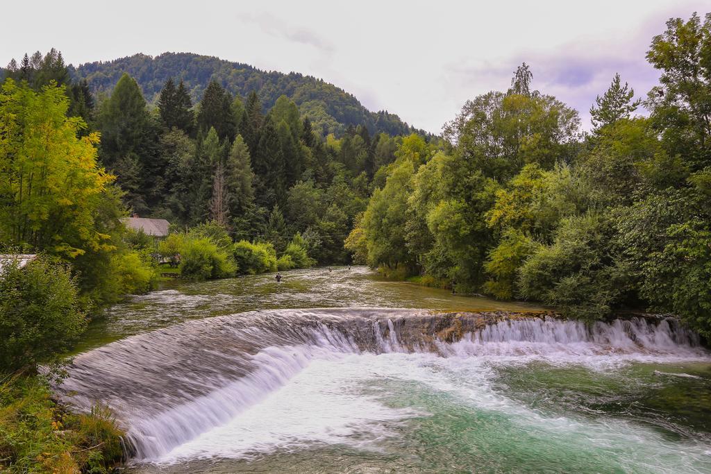 Brunarica Bled Zatrnik Pokljuka Extérieur photo